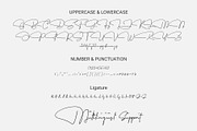 Garfield Signature Font, a Handwritten Font by Dewan Type (Thumbnail 2 of 9)