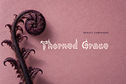 Morgul Organic Gothic Display Font, a Sans Serif Font by Graphic Spirit (Thumbnail 6 of 8)