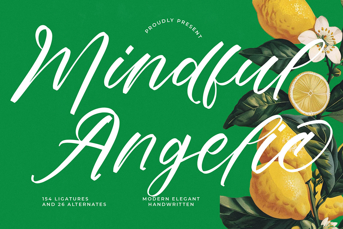 Mindful Angelic Modern Elegant Font, a Script Font by stylishtype.co (Photo 1 of 19)