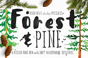 Forest & Pine Textured Font Bundle, a Script Font by ECHOFOXX (Thumbnail 1 of 6)
