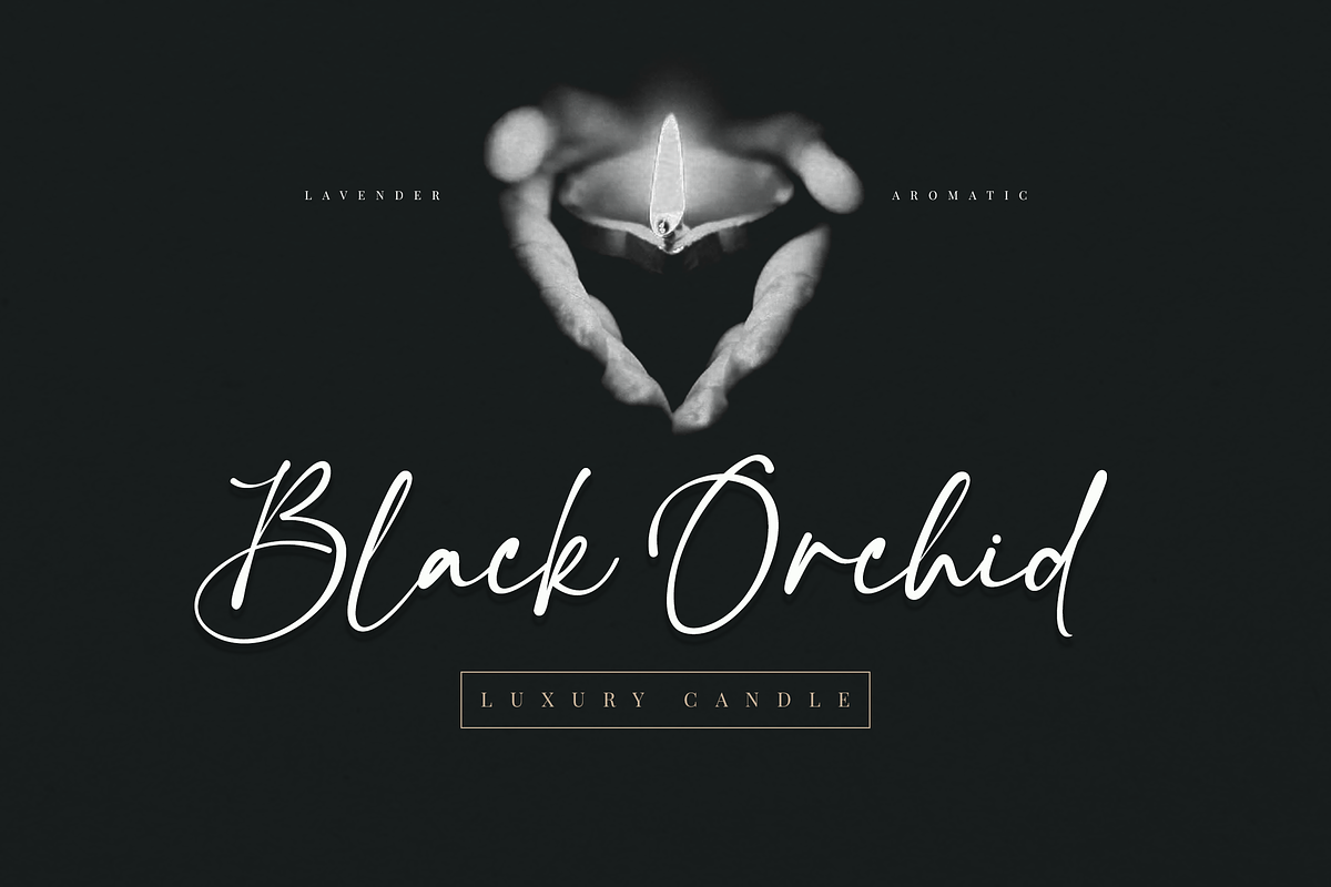 Constaller Chic Calligraphy Script, a Script Font by Namara Creative Studio (Photo 12 of 12)