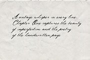Chapter One Textured Vintage Scrip, a Script Font by AnMark (Thumbnail 3 of 12)