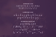 Paletta Script Fonts, a Script Font by mahstudios (Thumbnail 12 of 15)