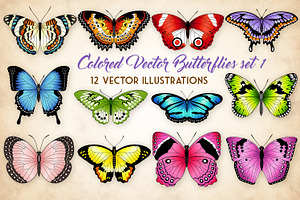 Vector Butterflies Illustrations