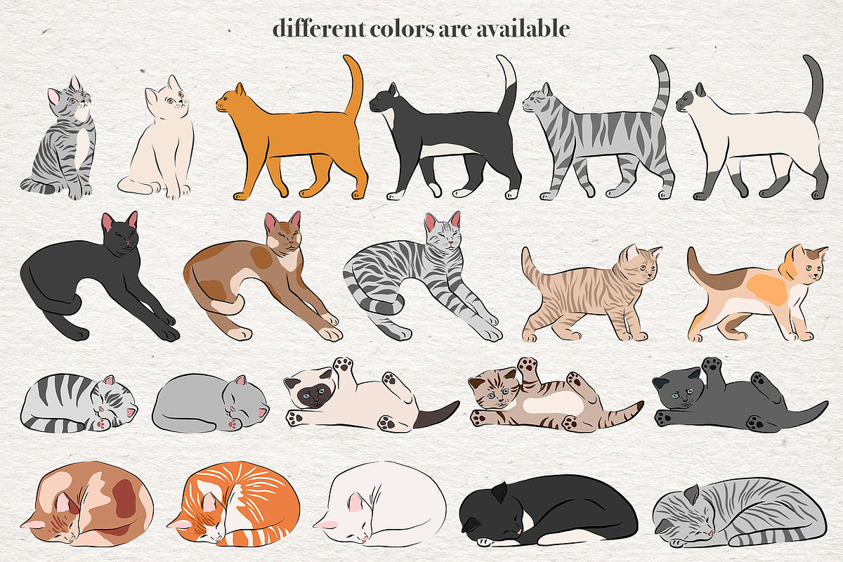 Cat Lover - Vector collection, an Animal Illustration by Alina Sh (Photo 4 of 10)
