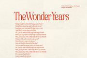 Eighties Comeback Serif (70 fonts), a Serif Font by Nicky Laatz (Thumbnail 45 of 47)