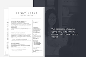 Resume Template Volantis B