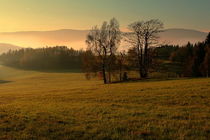 evening landscape