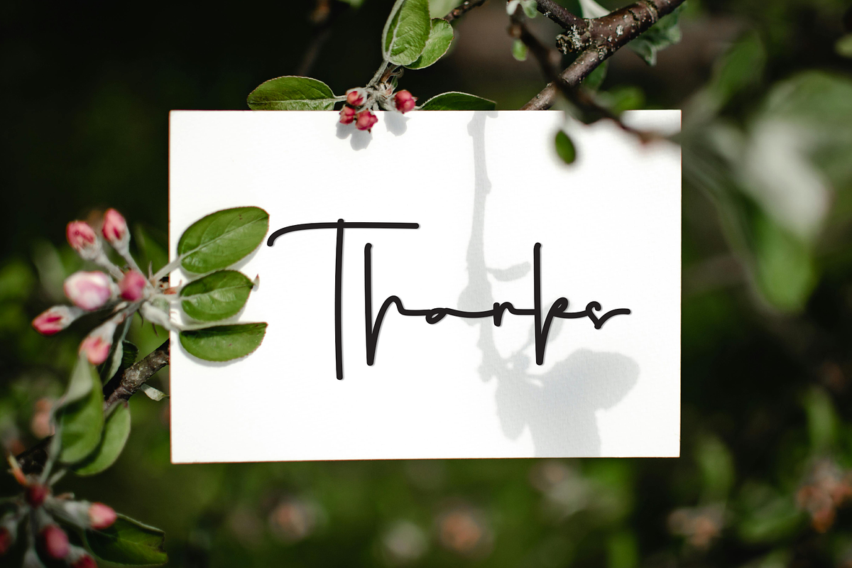 Cheesecake, a Handwritten Font by InermediaSTUDIO (Photo 6 of 7)