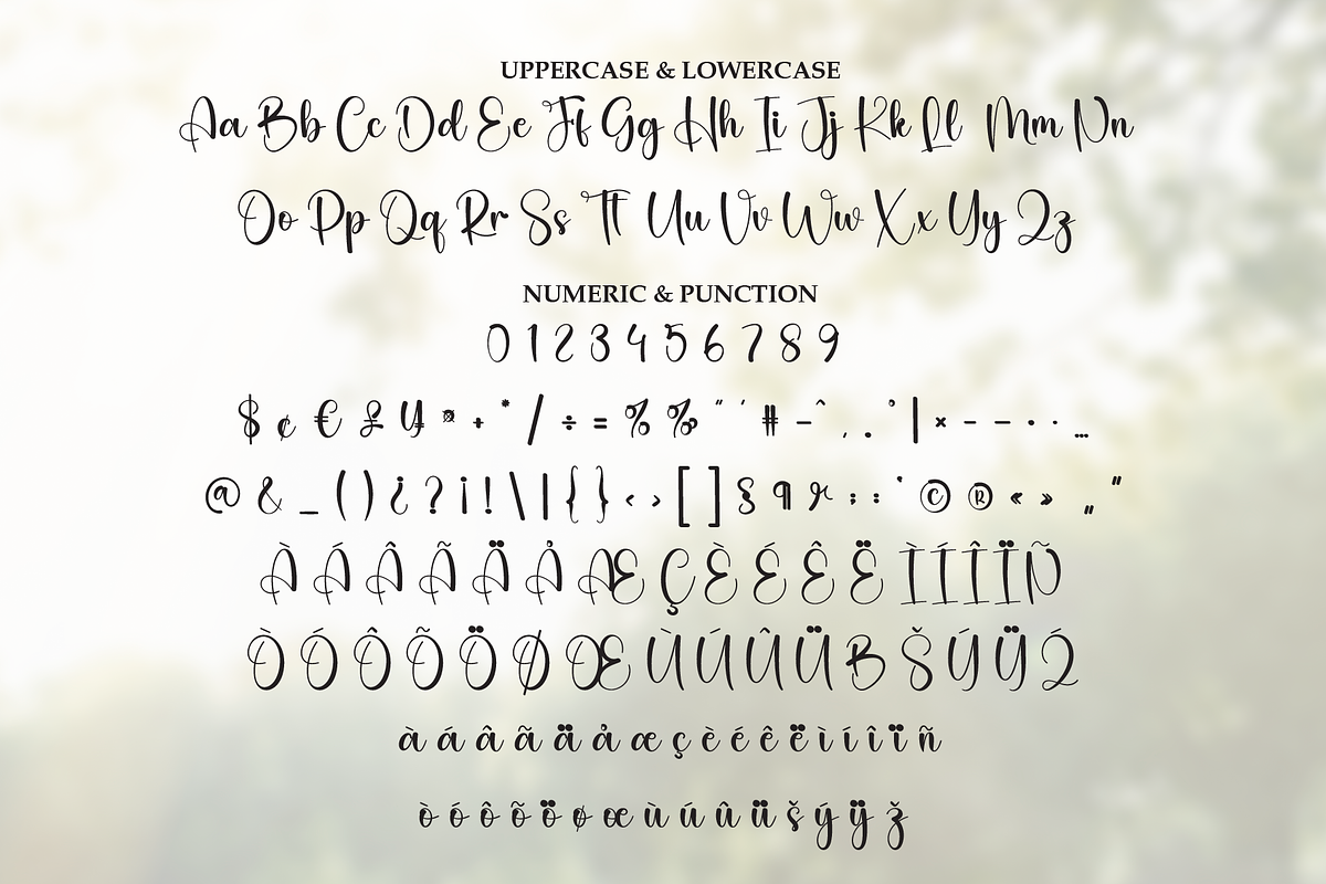 Overglow | Script Font, a Handwritten Font by Scratchones (Photo 7 of 8)
