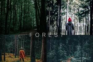 10 Forest Lightroom Presets, a Preset Add-On by RamsaGraphi
