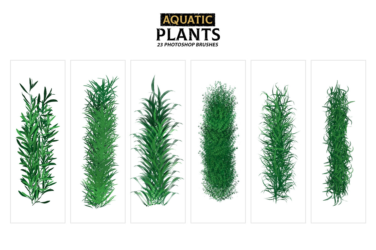 Aquatic Plants Brushes, a Brush Add-On by Mohamed Saber (Photo 3 of 5)