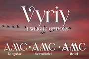 Vyriy font family, a Serif Font by vlad.berla (Thumbnail 3 of 8)