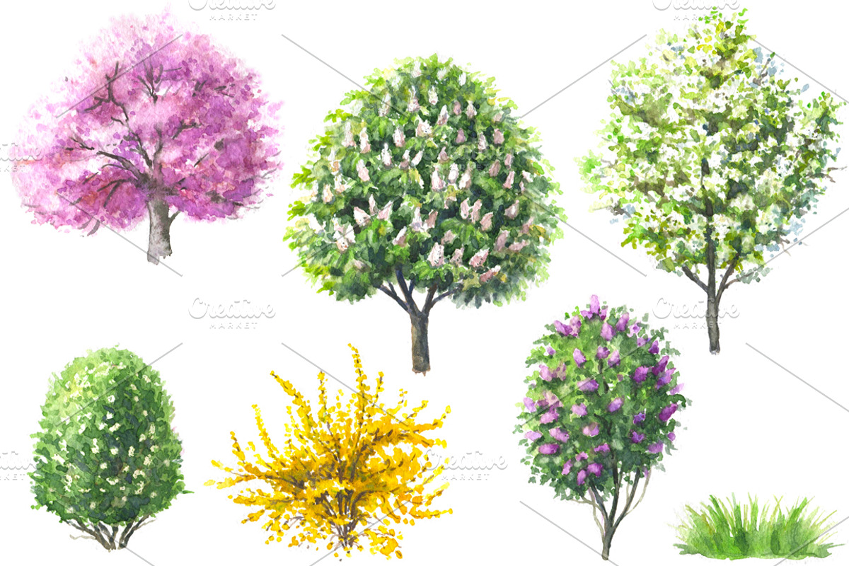 Watercolor  Trees and Bushes, a Decorative Illustration by Valentyna Smordova (Photo 2 of 6)