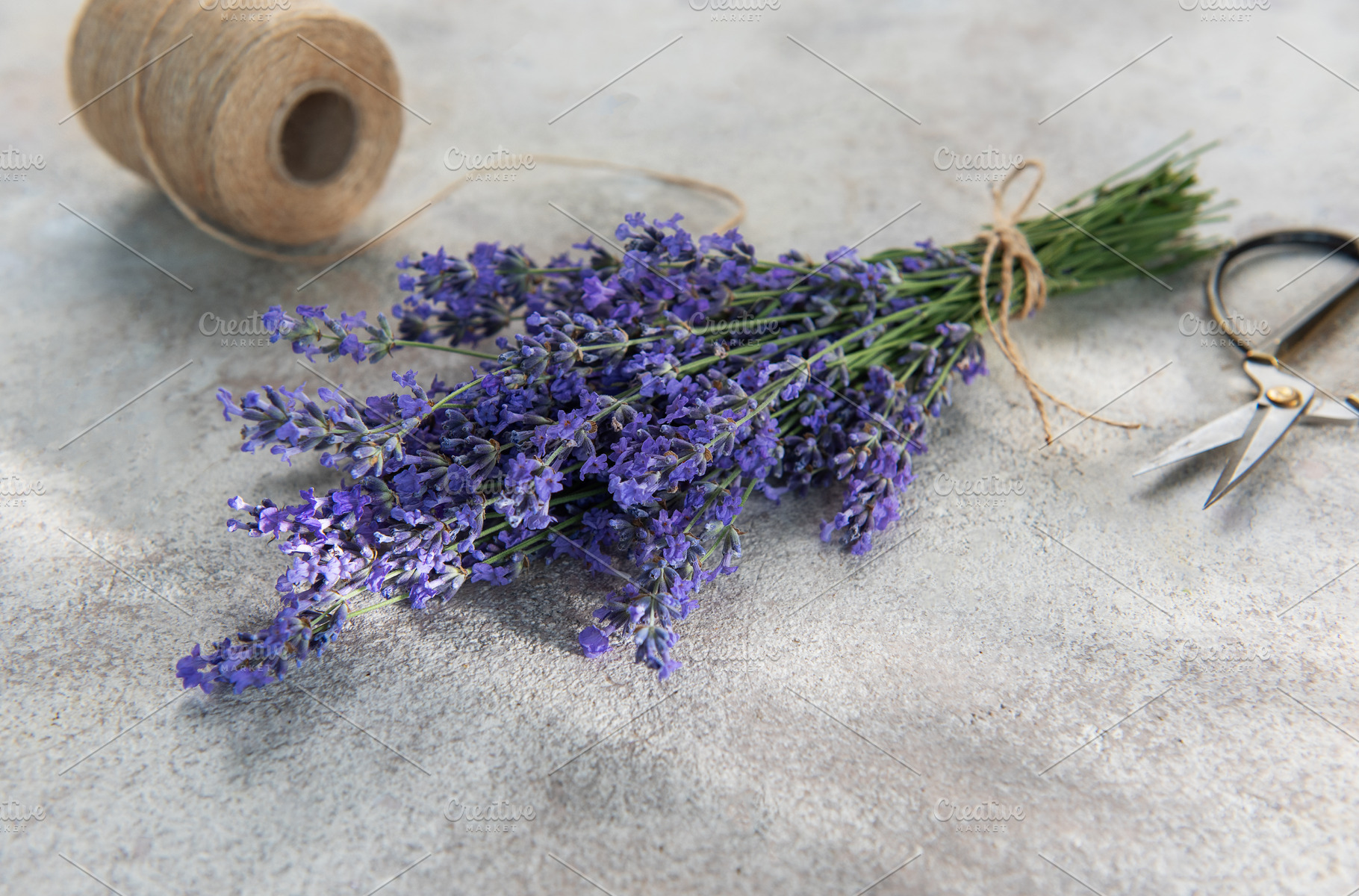 Fresh lavender bunch with scissors and twine preparing, a Health & Medical Photo by Olena Rudo