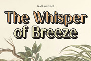 Kalesi Rounded 3D, a Sans Serif Font by Craft Supply Co. (Thumbnail 4 of 8)