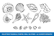 Sea shells patterns set, a Decorative Illustration by Vector beauty (Thumbnail 3 of 7)