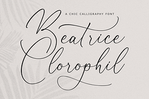 Beatrice Clorophil Chic Calligraphy