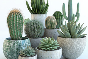 Desert Plants in Stylish Pots Home D, a Food & Drink Photo by Pixeness Studio