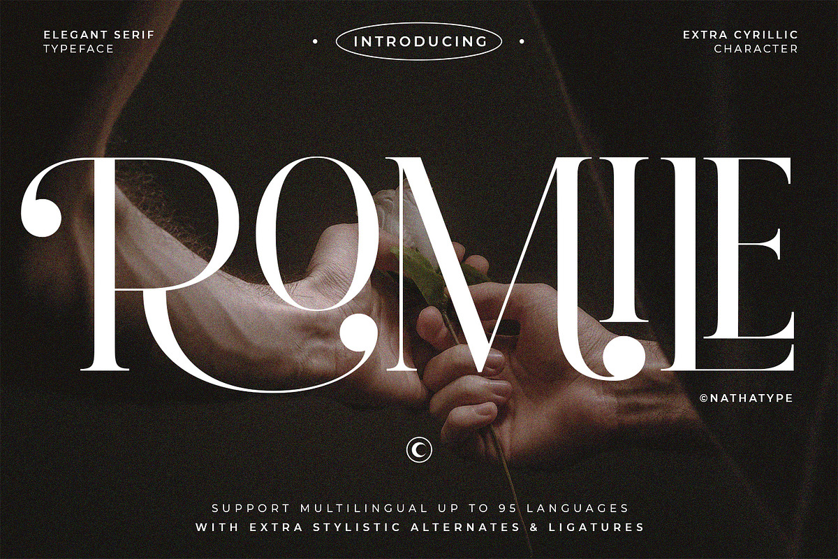 Romile, a Serif Font by Nathatype (Photo 1 of 12)