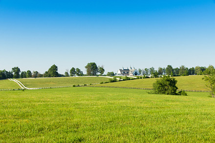 Green pastures of horse farms., a Photo by Irina Moskalev