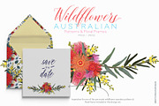 Wildflowers Australian Design Set, an Illustration by Sketchbook Designs (Thumbnail 6 of 11)