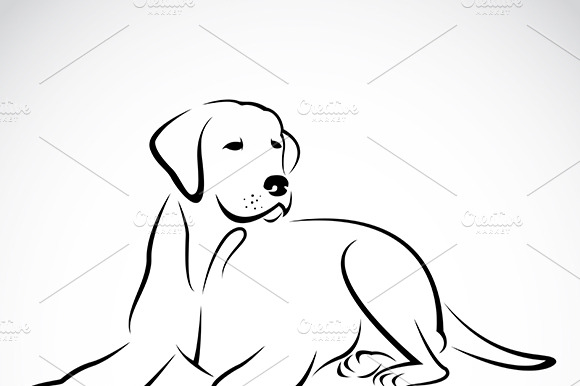 Vector Of A Dog Labrador. Pet.