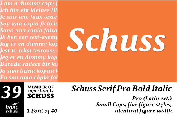SchussSerifProBoldIta No.39 (1 Font) preview 6