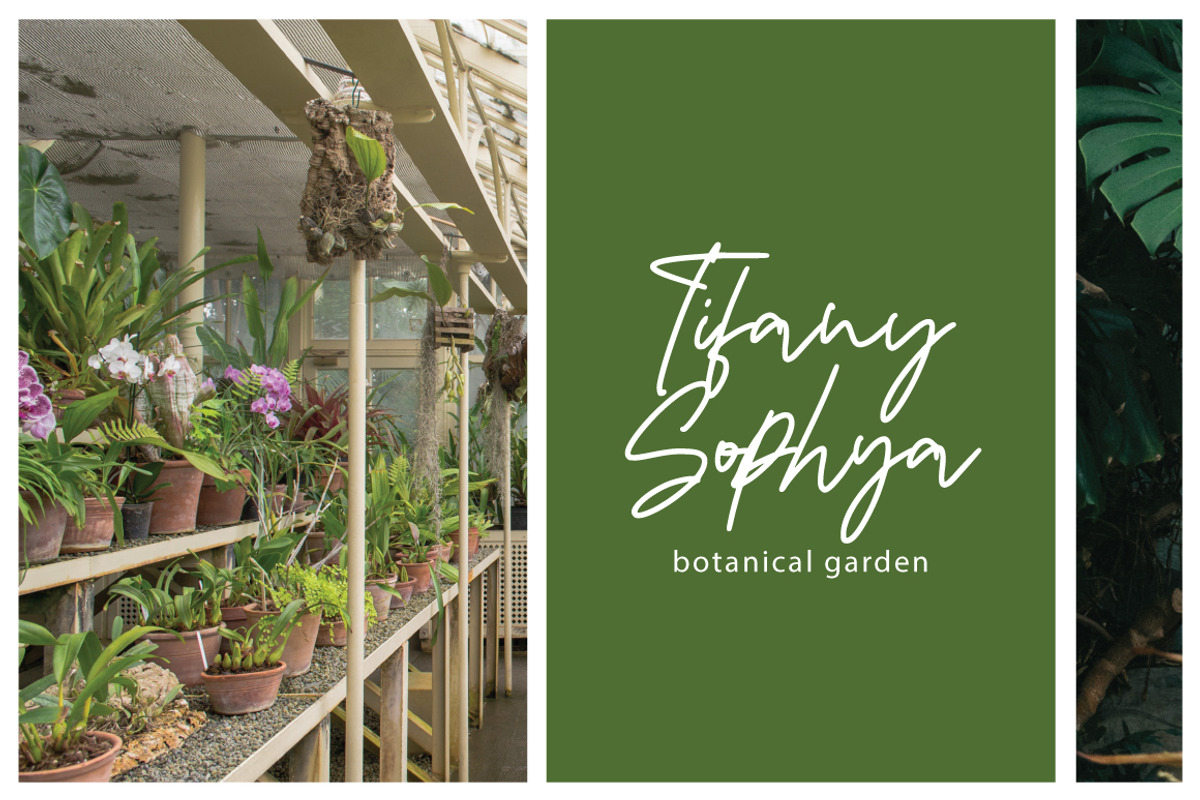 Fantting - Handwritten Signature, a Handwritten Font by tebaltipislab (Photo 2 of 9)