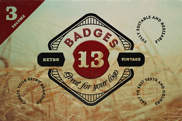 13 Retro Signs or Badges v.3 preview 6