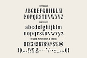 Timothy Robinson, a Serif Font by Cruzine (Thumbnail 5 of 8)
