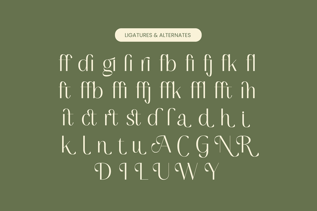 Mugia Elegant Modern Display Font, a Sans Serif Font by timelesstype.co (Photo 18 of 20)