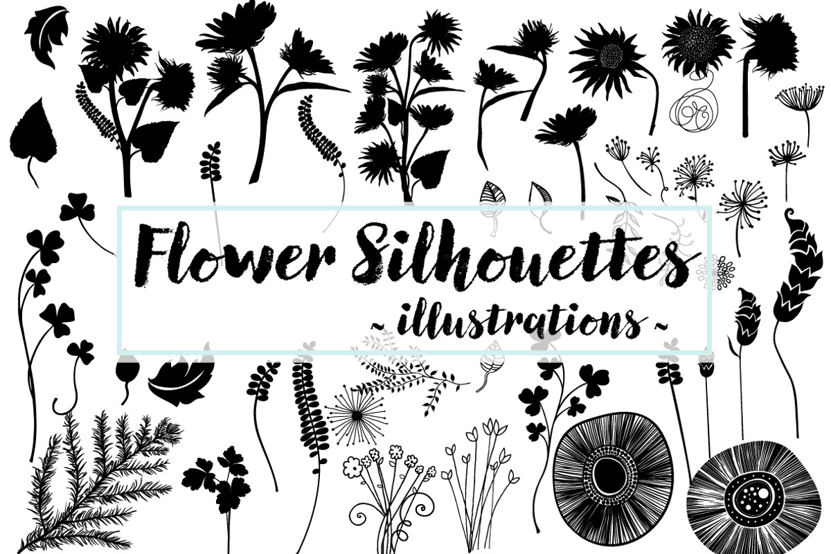 Vector Graphics Bundle, an Animal Illustration by Carrie Stephens Art (Photo 15 of 43)