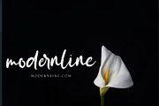 Seritton, a Script Font by pineungtype (Thumbnail 9 of 10)