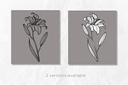 Lily Flowers Line Art SVG, an Object Graphic by Dervik Art Store (Thumbnail 6 of 8)