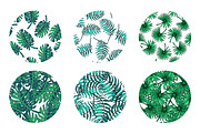 Tropical Patterns, a Pattern Graphic by Katyr (Thumbnail 3 of 4)
