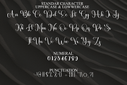 Calligraphy, a Handwritten Font by FreshTypeINK (Thumbnail 3 of 6)