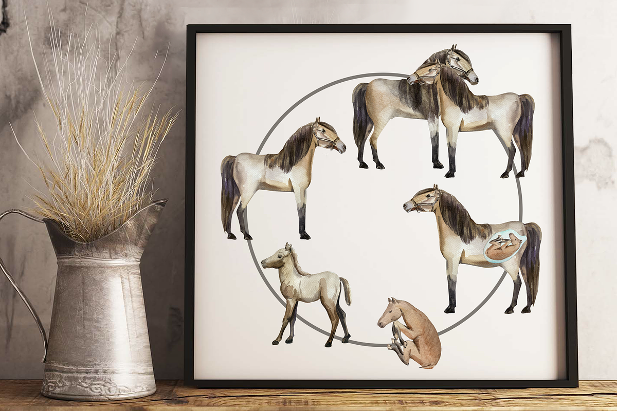 Horse Life Cycle Clip Arts and Print, an Animal Illustration by Tati Bordiu (Photo 1 of 4)