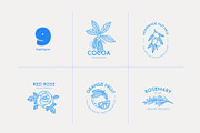 Plants, a Decorative Illustration by Sweet Corner (Thumbnail 3 of 9)