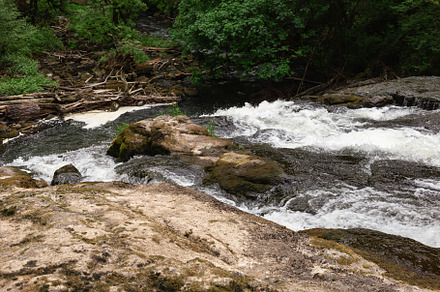 Stream through the Rocks in Forest, a Nature Photo by Andriana Syvanych