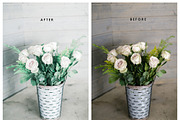 Natural Lightroom Mobile Preset, an Action Add-On by Lux Light (Thumbnail 2 of 28)