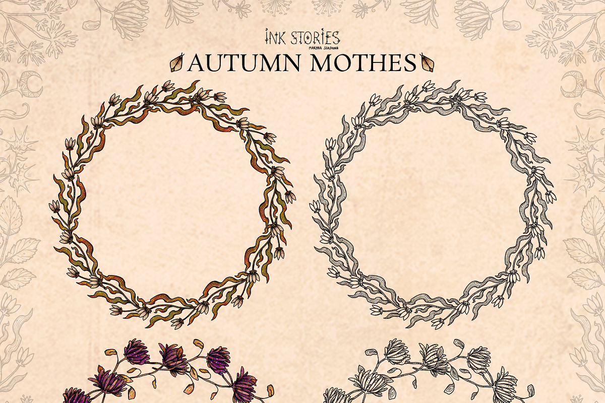 Autumn Moths & Dried Botanicals, an Animal Illustration by Ink Stories (Photo 14 of 18)