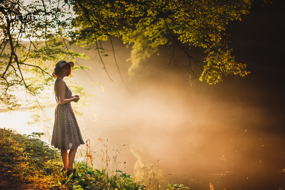 250 Premium Cine Lightroom Presets preview 3