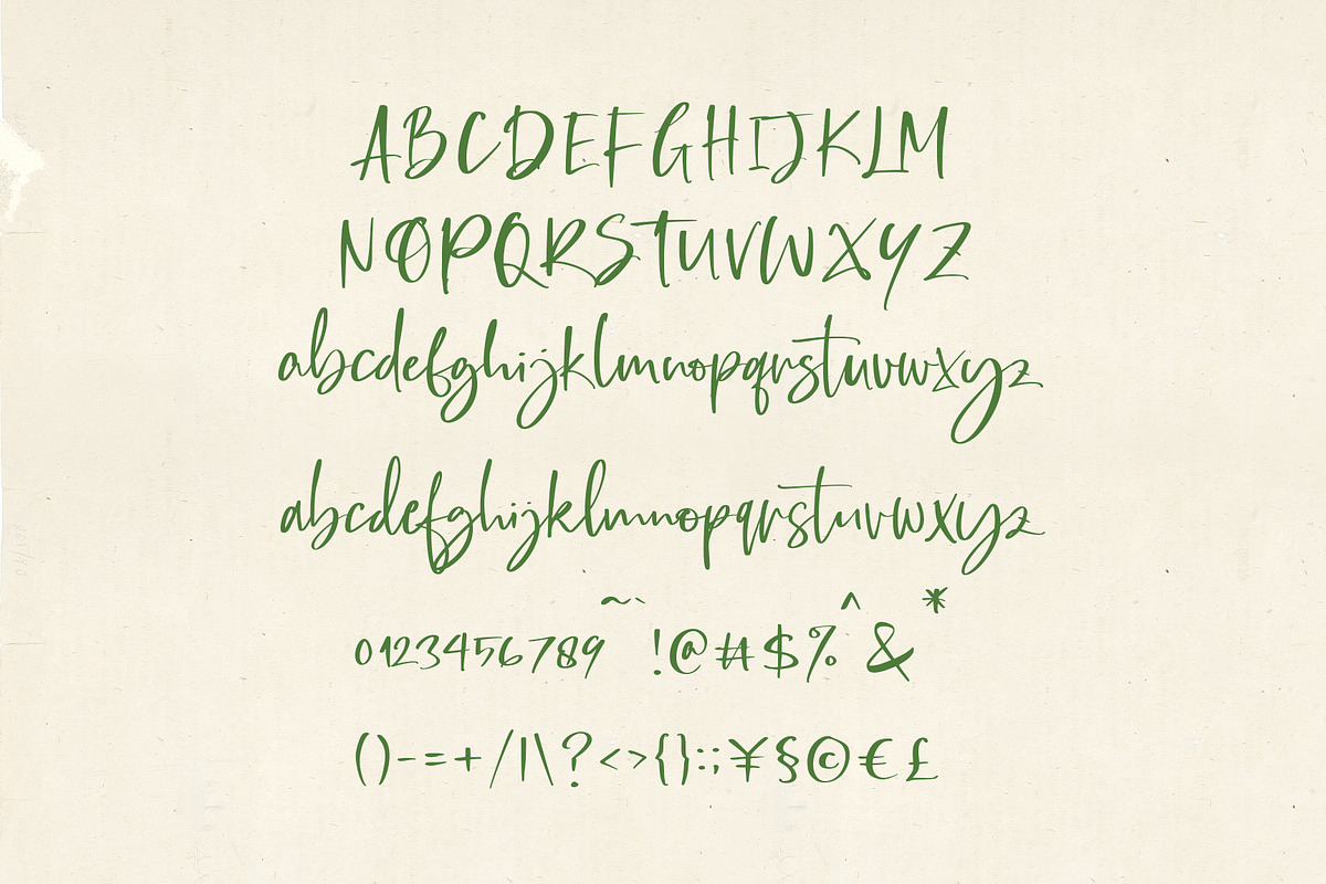 Kassidy A Handwritten Script Font, a Script Font by Awanstudio (Photo 8 of 8)