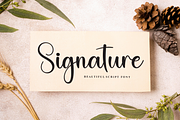 Value | Script Font, a Handwritten Font by Scratchones (Thumbnail 5 of 9)