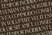 Brastoville - Modern Serif Font, a Serif Font by Rishsketch (Thumbnail 5 of 15)