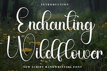 Enchanting Wildflower