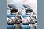 FOREST Mobile Lightroom Presets, an Action Add-On by 123PRESETS.COM (Thumbnail 9 of 9)