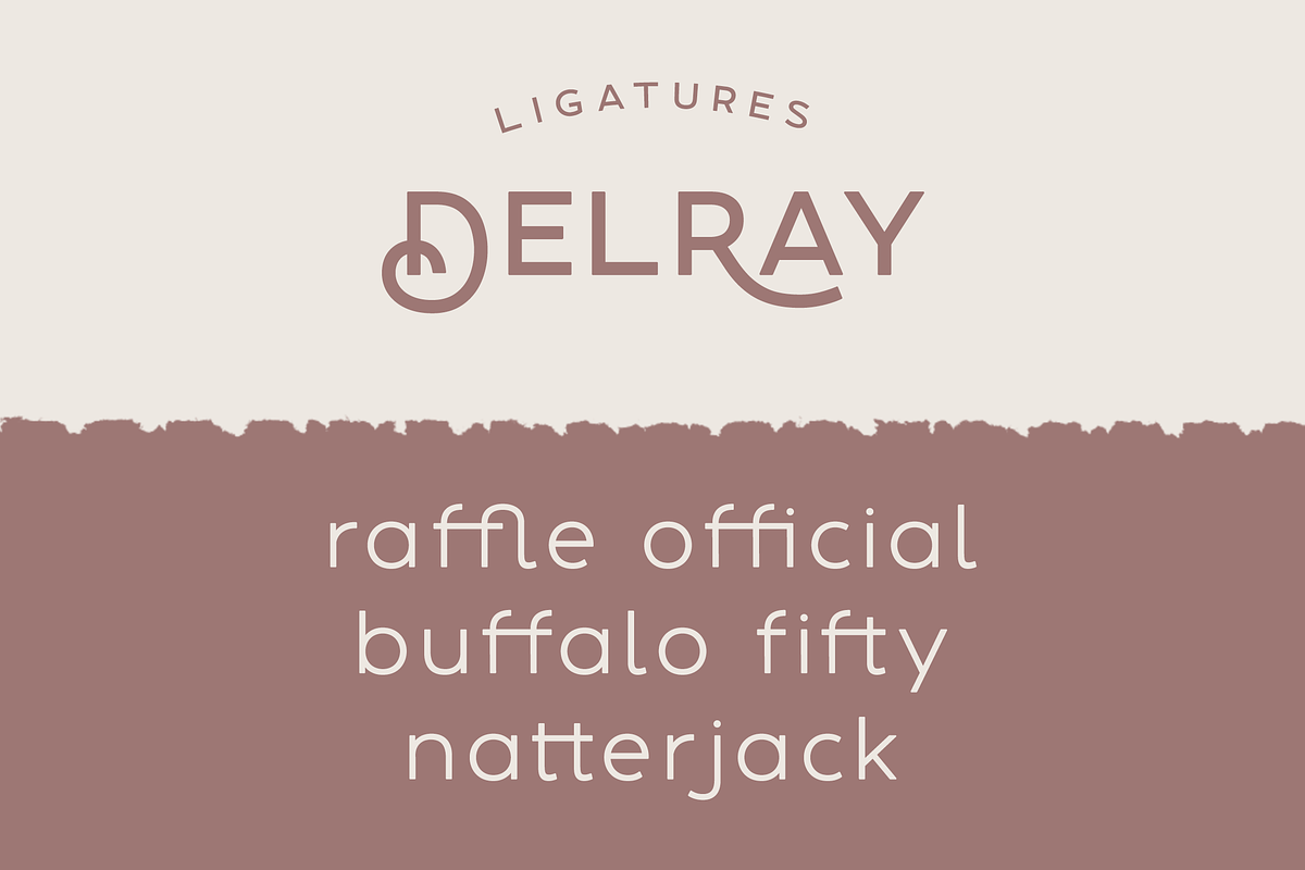 DelRay - Sans Serif Ligature Typefac, a Serif Font by Surplus Type Co (Photo 11 of 13)