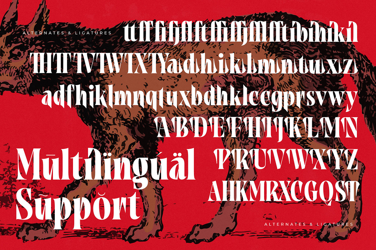 Tieldsa Bold Serif Display Font, a Serif Font by timelesstype.co (Photo 19 of 20)